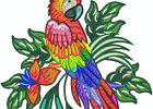 Stunning Parrots 010 7inch